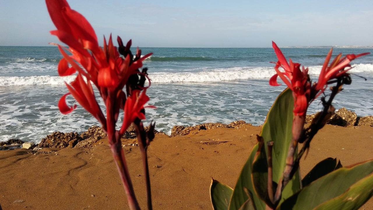 Ausblick Melas Resort Hotel