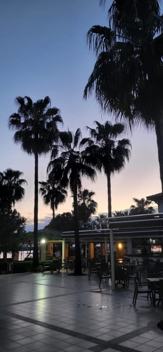 Gastro Trendy Palm Beach (Adults Only, 16+)
