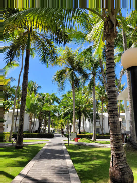 Gartenanlage Hotel Riu Bambu