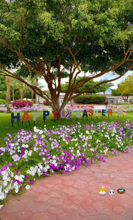 Außenansicht Desert Rose