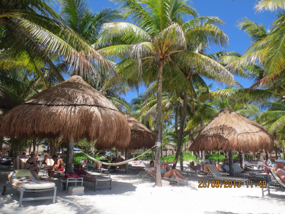 Blick vom Meer Catalonia Royal Tulum Beach & Spa Resort - Adults only