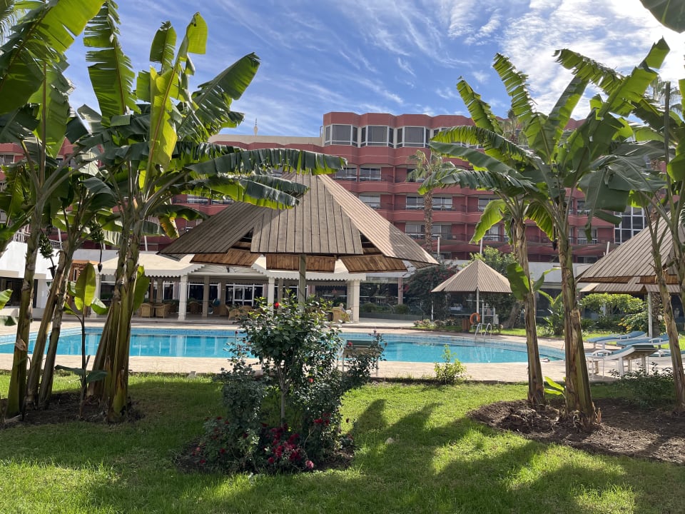 Pool Pyramisa Hotel Luxor