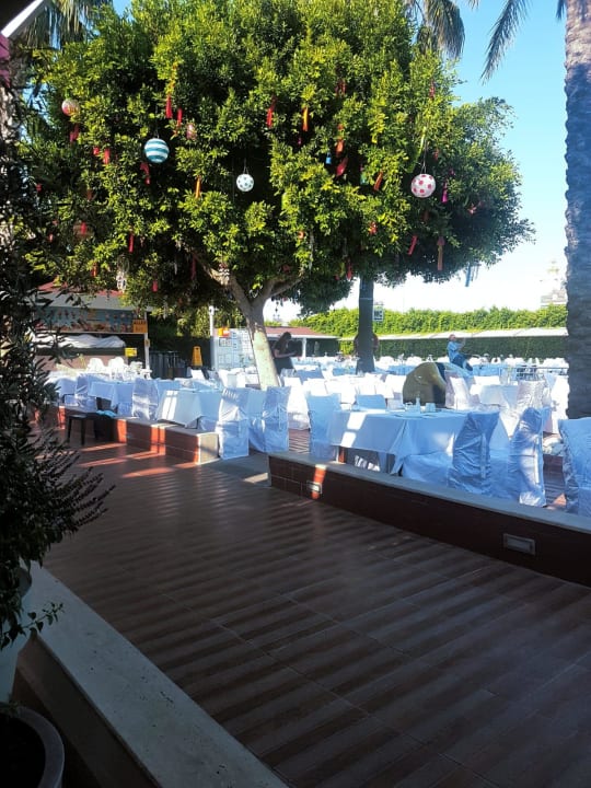 Pool Hane Family Resort