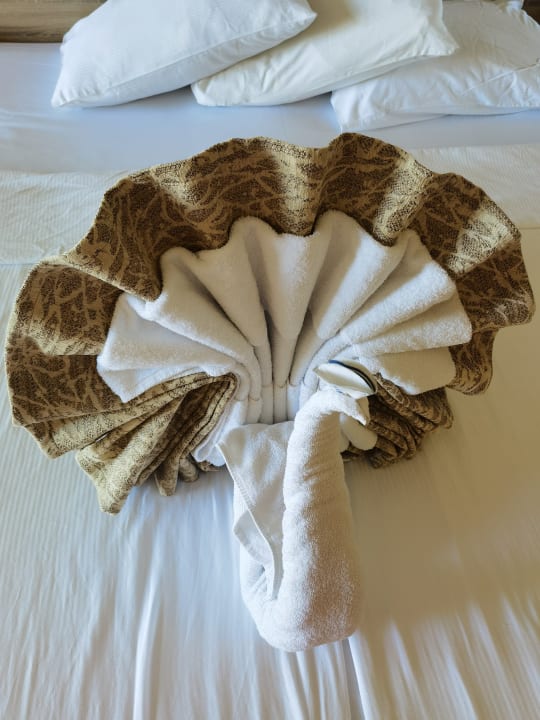 Zimmer Beach Albatros Resort