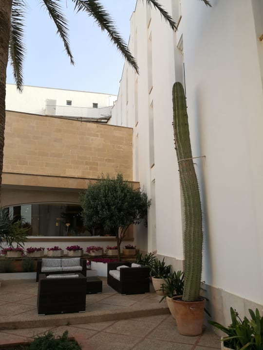 Sonstiges Universal Hotel Cabo Blanco - Adults Only