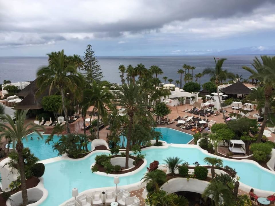 Pool Dreams Jardín Tropical