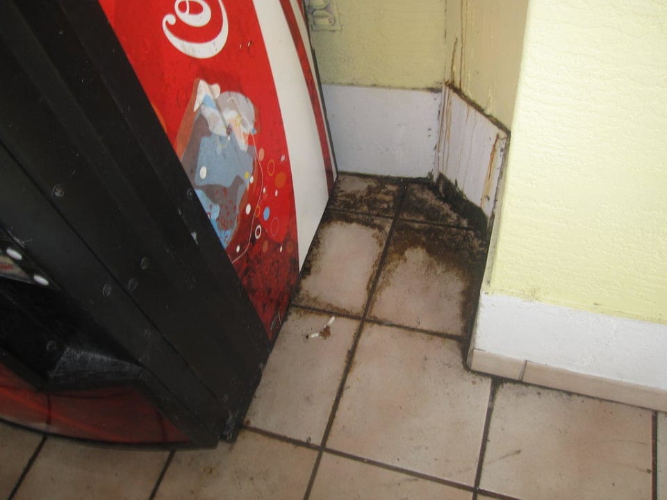 Flurbereich Hotel Bayside Inn Key Largo