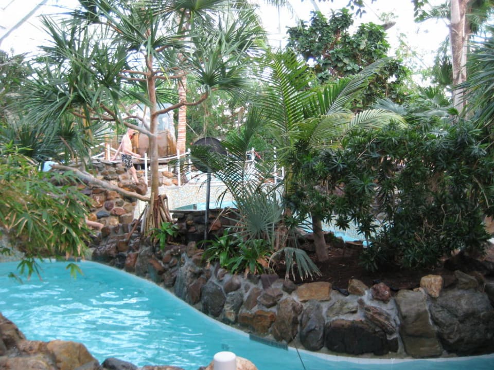 Blick in den Aqua Dom Center Parcs De Vossemeren