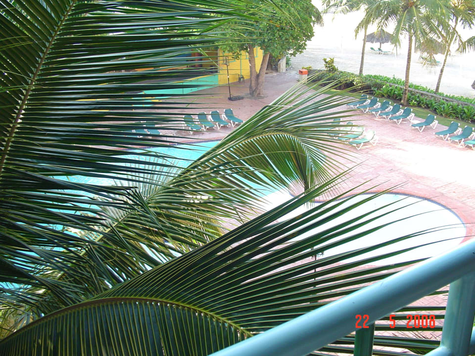 Ausblick whala!boca chica