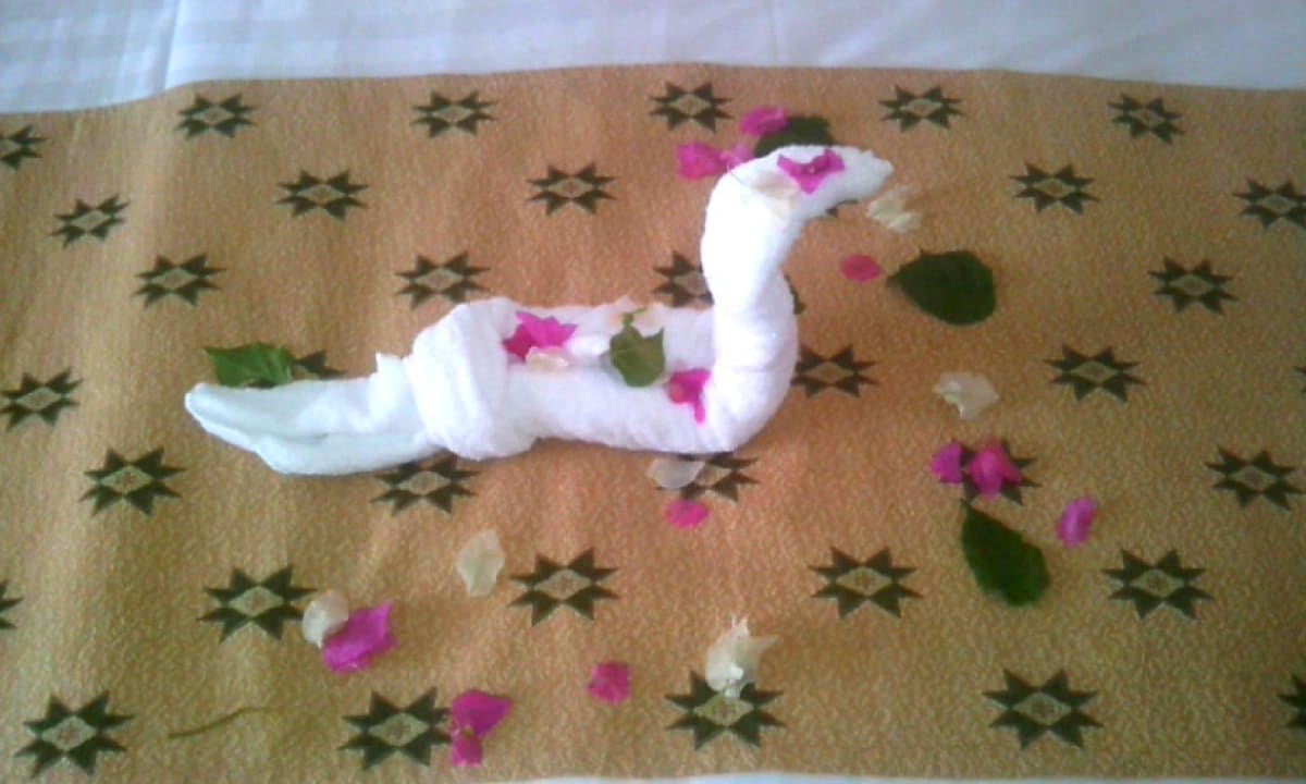 Schlange Three Corners Equinox Beach Resort