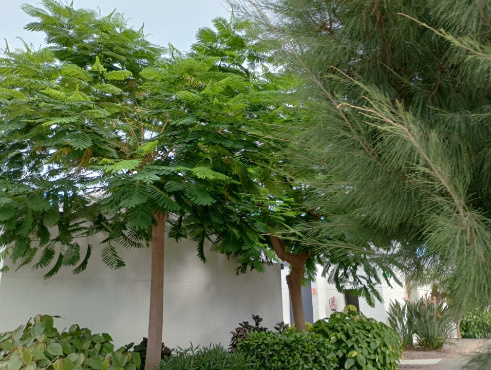 Gartenanlage R2 Romantic Fantasia Suites - Adults only