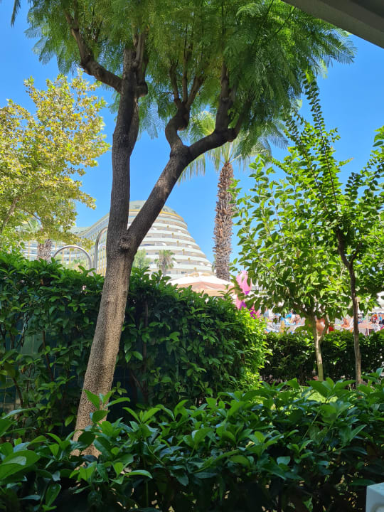 Gartenanlage Hotel Delphin Imperial