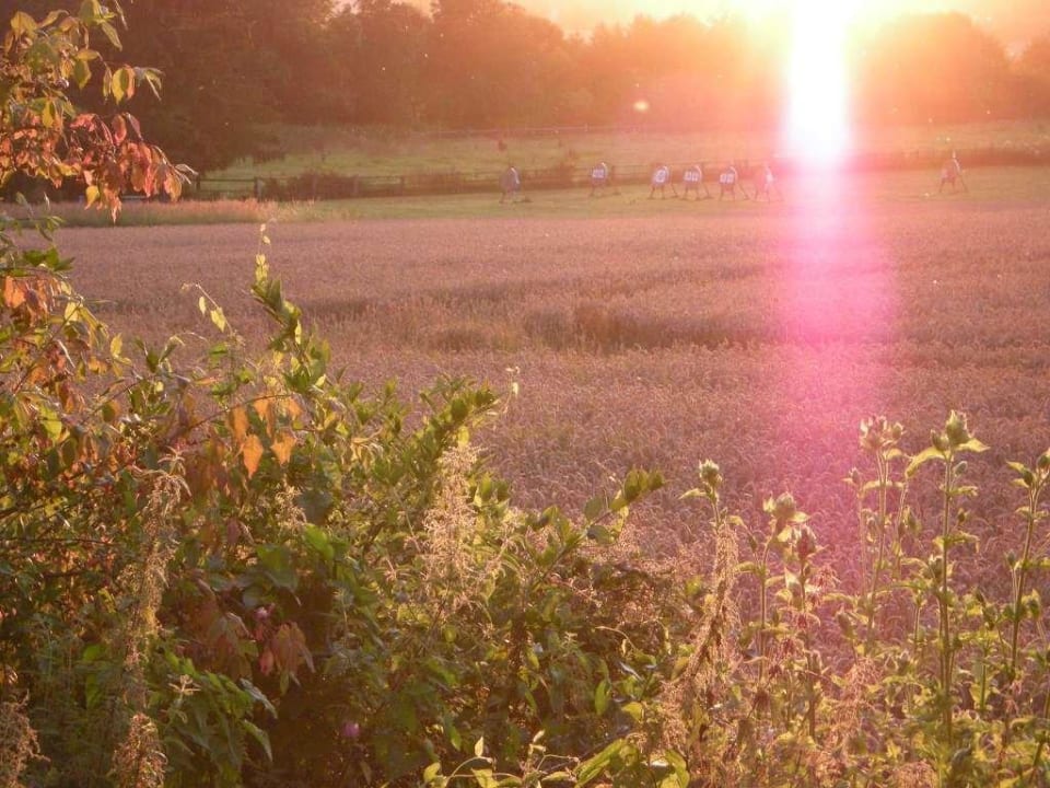 Bogenschießplatz 50 m vom Hotel Hotel am Kaiserbrunnen