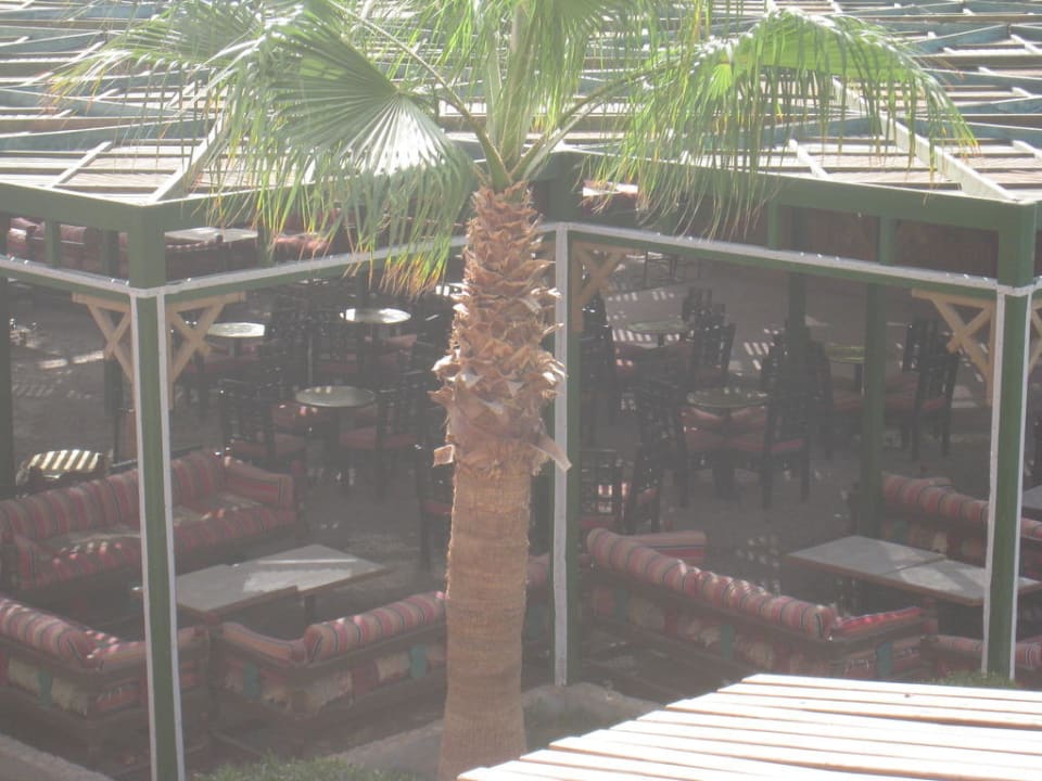 Shisha Giftun Azur Resort