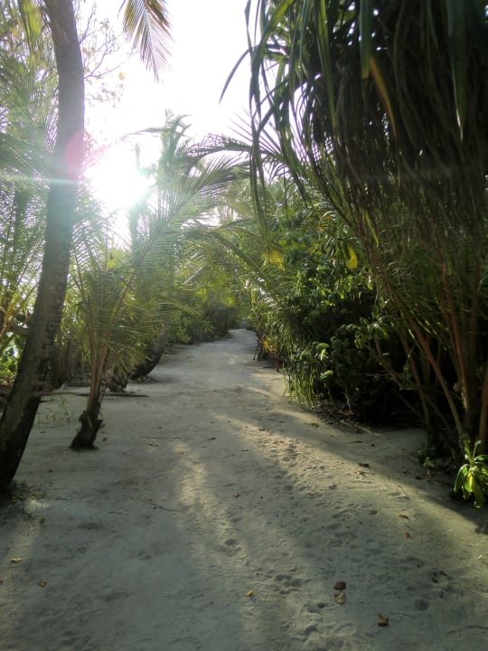 Traumhafter Weg zur Sandbank Kuramathi Maldives