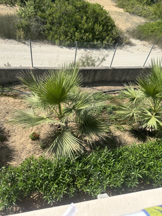 Gartenanlage Sandy Beach Resort