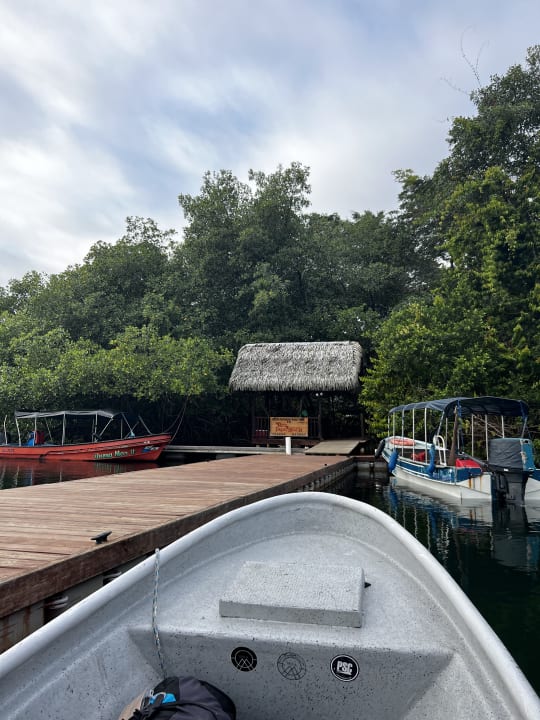 Sport & Freizeit Selina Red Frog