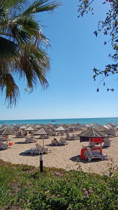 Strand Hotel Defne Garden