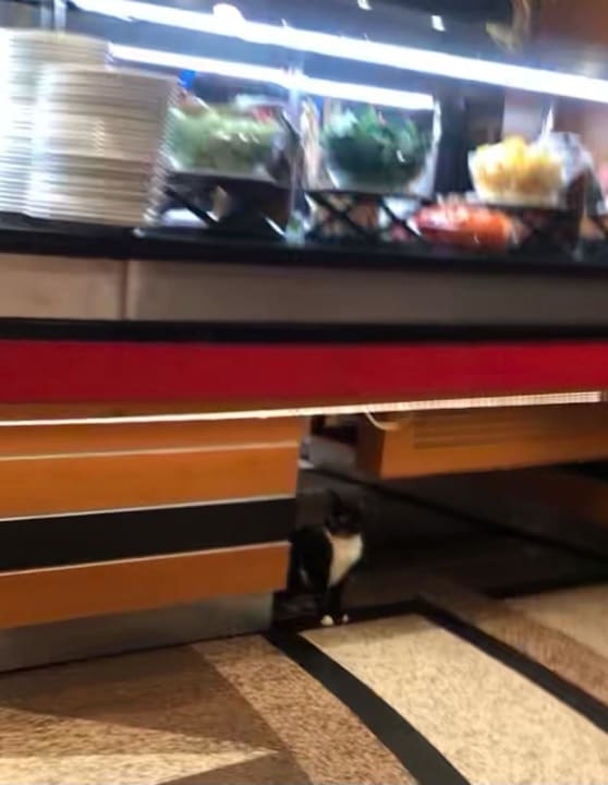 Gastro Limak Limra Hotel & Resort