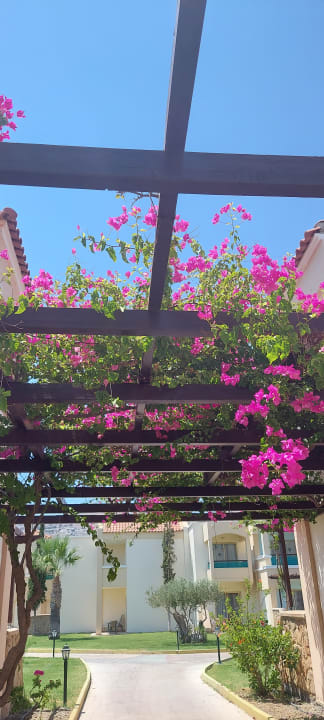 Gartenanlage Lindos Princess Beach Resort & Spa