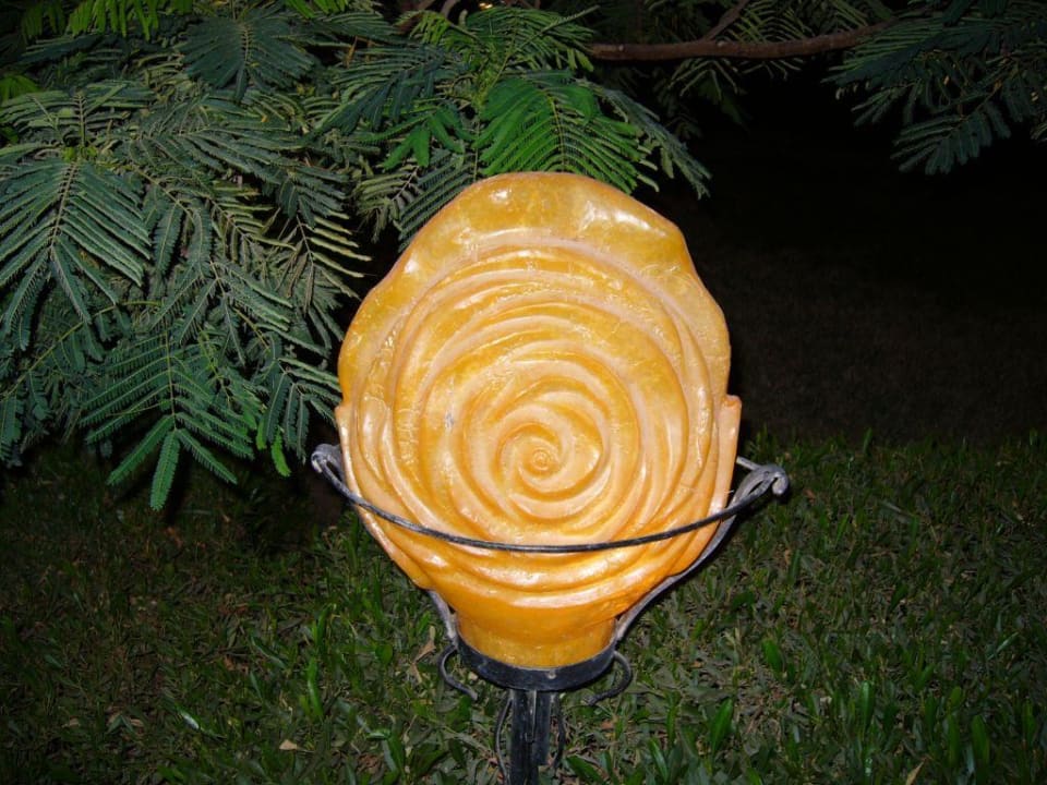 Lampa Desert Rose