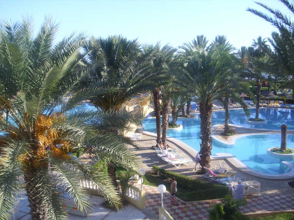 Poolanlage mit Palmeninsel Houda Golf & Beach Club