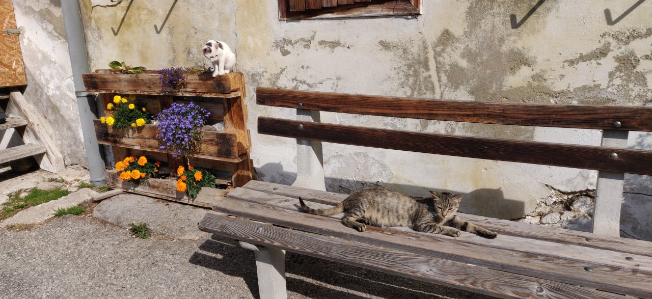 Sonstiges Familienhotel Berger