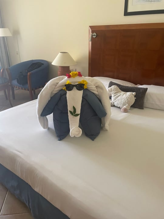 Zimmer Jaz Grand Marsa