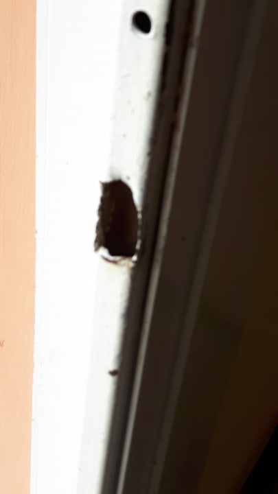 Zimmer Giftun Azur Resort