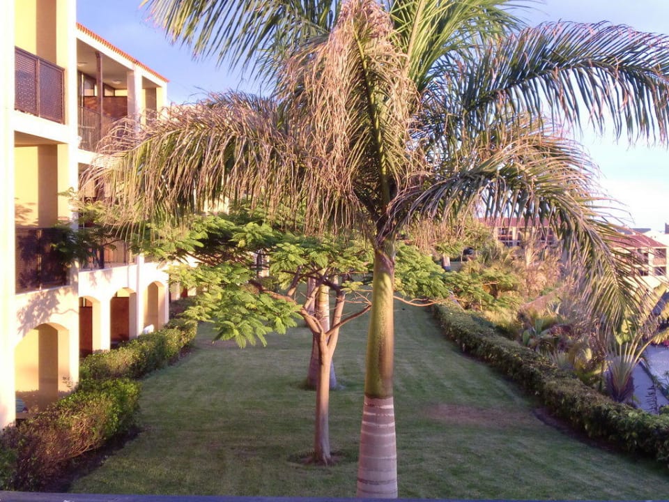 Im Sonnenuntergang La Palma Princess