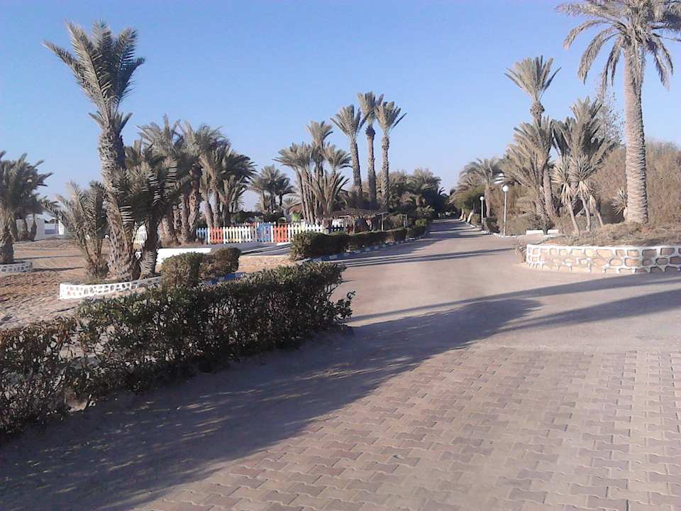 Überall Palmen Hotel El Mouradi Djerba Menzel