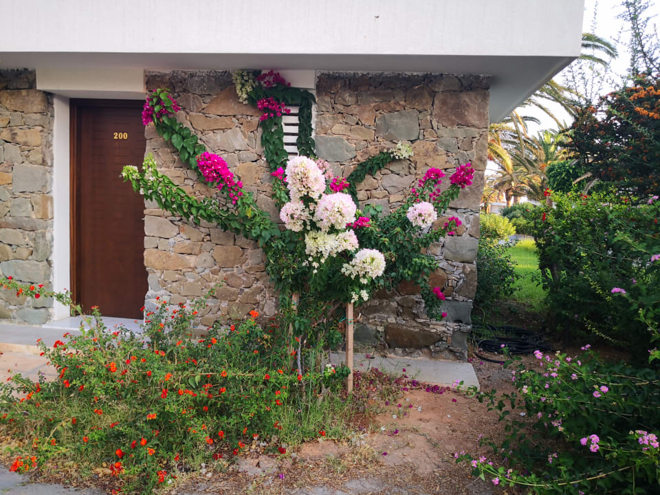 Gartenanlage Civitel Creta Beach