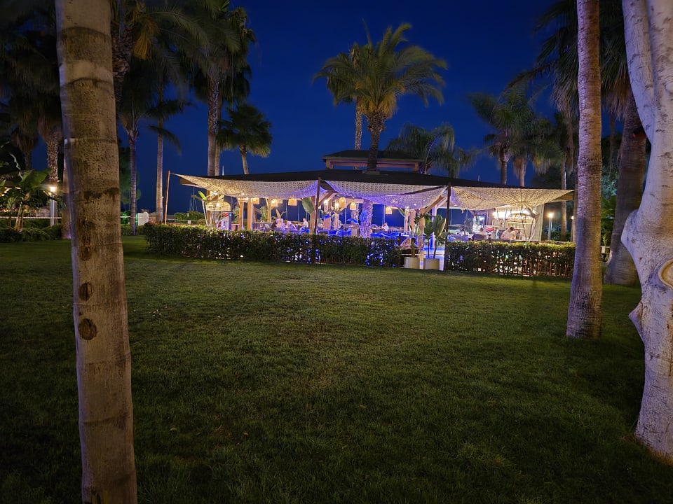 Gastro Arycanda Kirman Premium