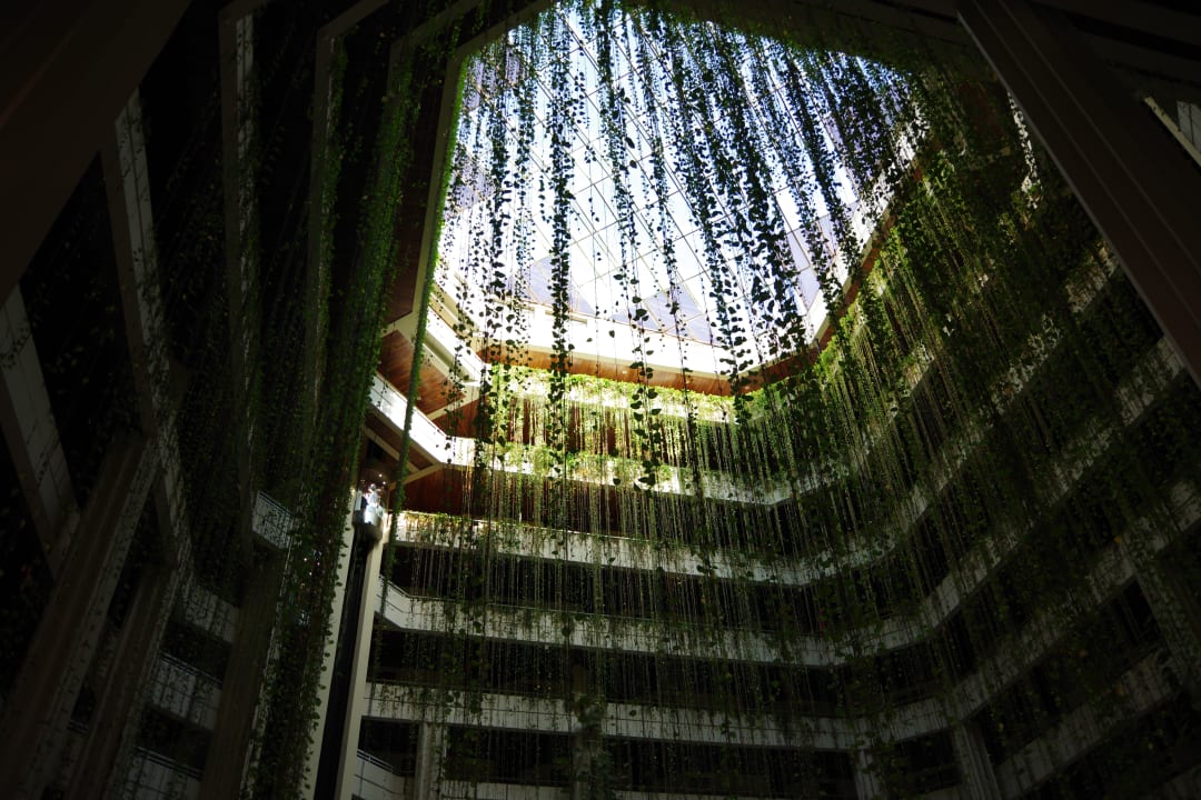 Lobby Blau varadero - Adults only