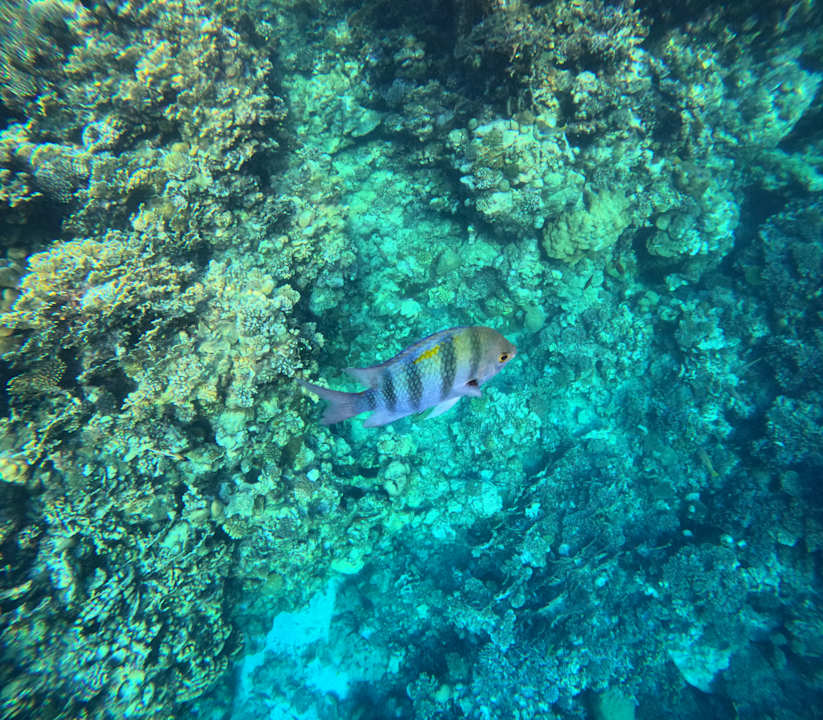 Strand Casa Mare Resort