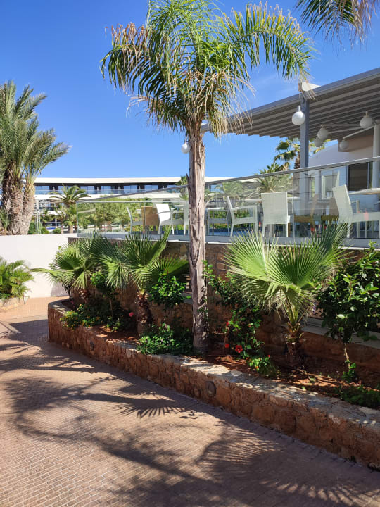 Gartenanlage Lyttos Beach Hotel