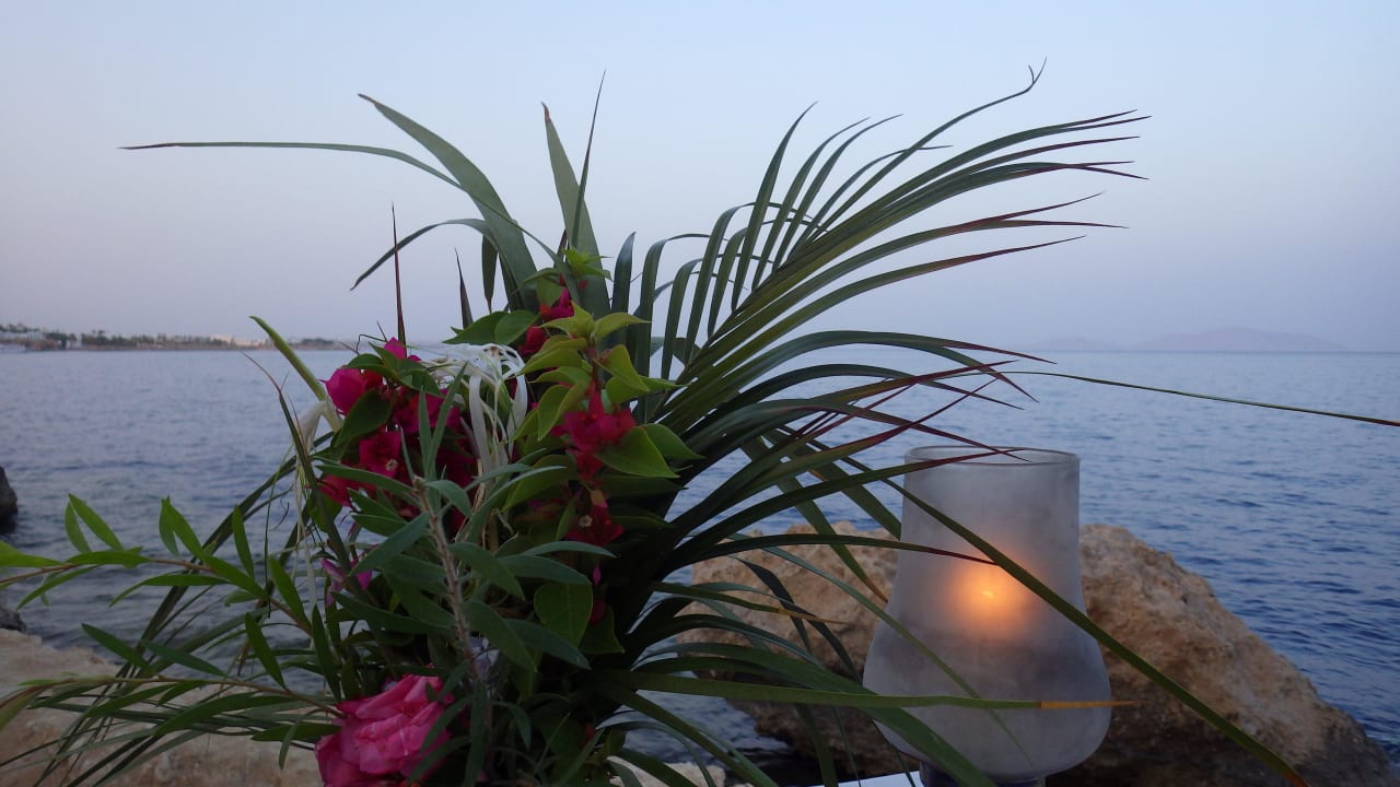 Dinner for 2 The Grand Hotel Sharm El Sheikh