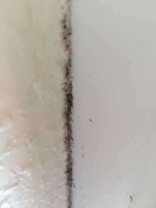 Zimmer Center Parcs Park Bostalsee