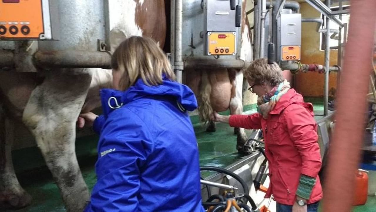 Die Milch selber "zapfen"  Ferienhof Vennhof