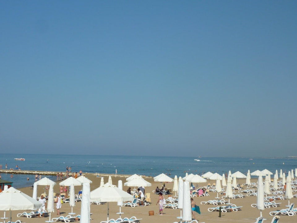 Sentido PALOMA Perissia