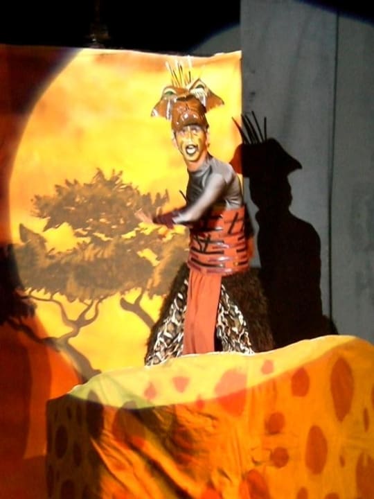 König der Löwen Marvida Family Eco