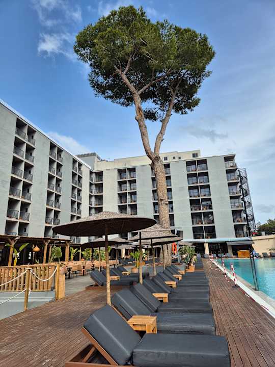Außenansicht Caramelo Palma Beach