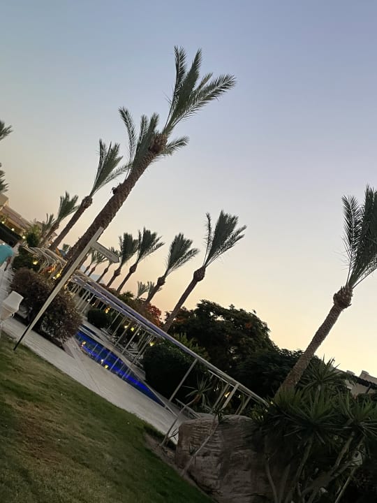 Gartenanlage JAZ Aquamarine Resort