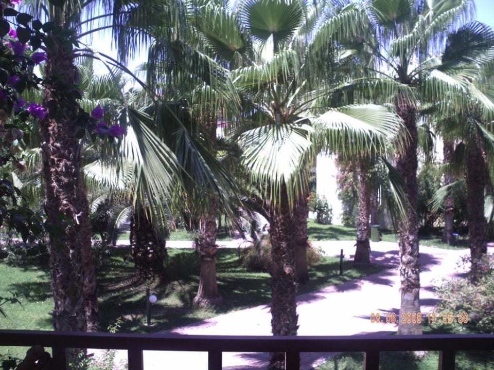 Blick von unserem Balkon VONRESORT Golden Beach