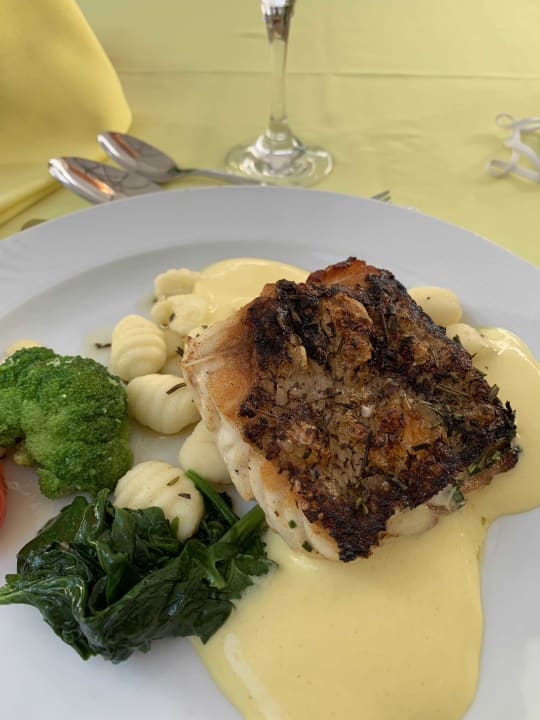 Gastro Seaside Hotel Palm Beach