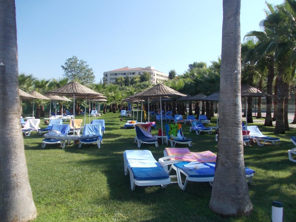 Ruhewiese zwischen Strand und Hotel Miramare Queen Hotel