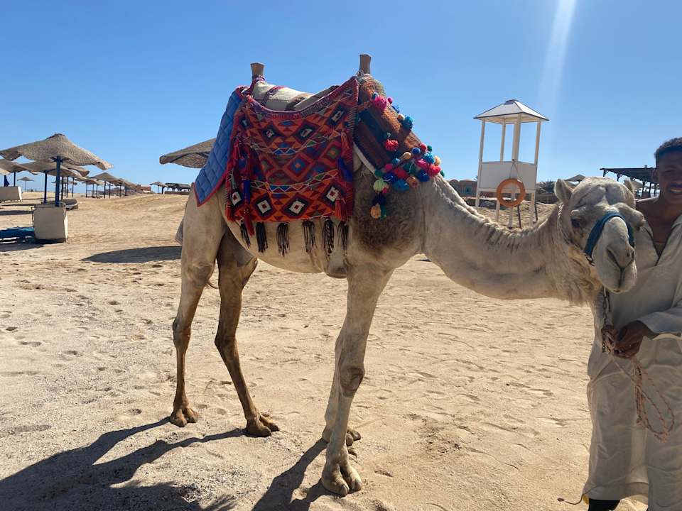 Sonstiges Radisson Blu Resort, El Quseir