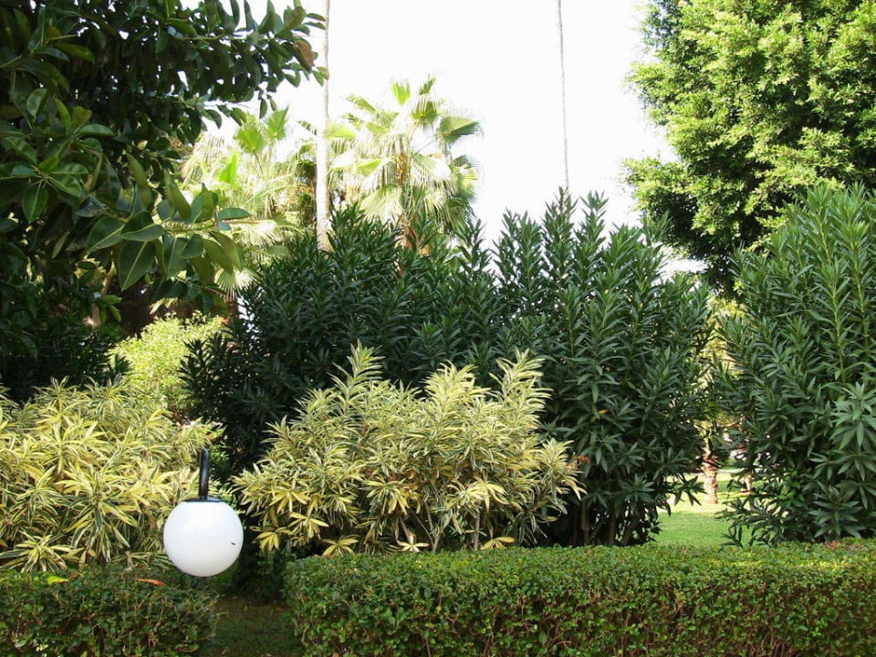 Blick in den Garten Labranda Alantur Resort