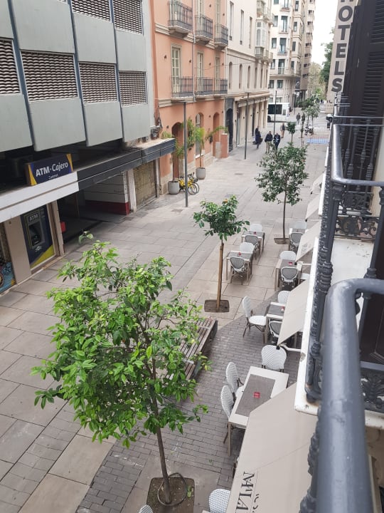 Ausblick ICON Malabar