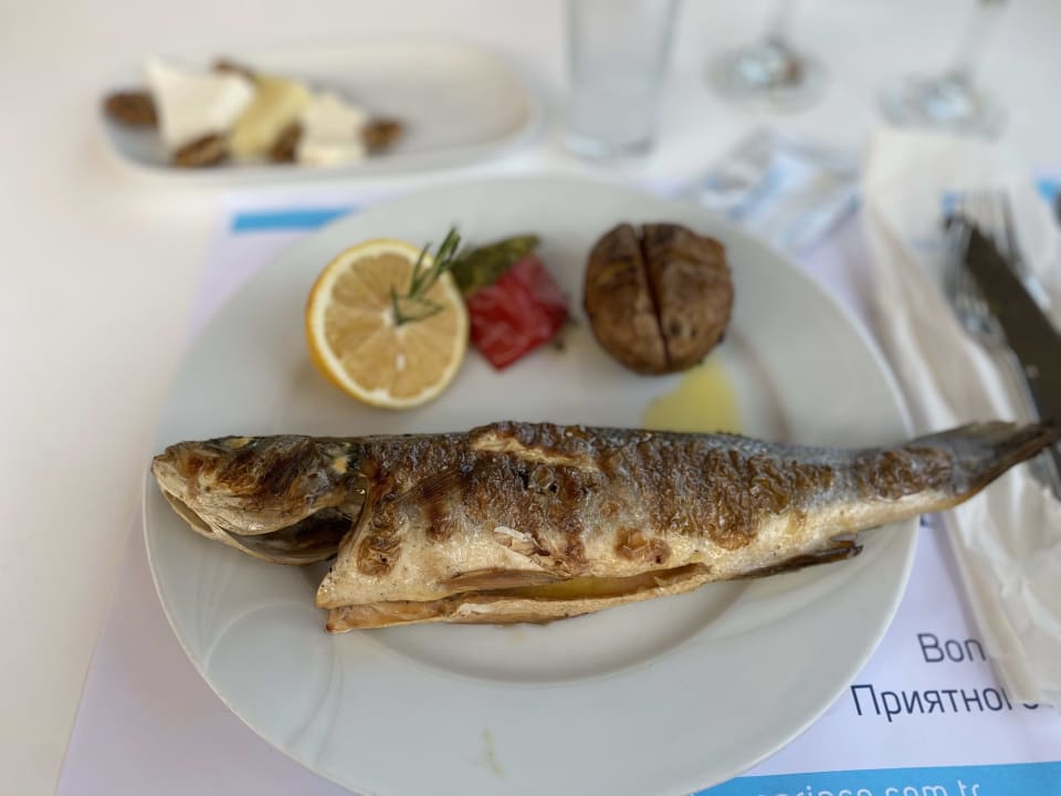 Gastro Hotel Turan Prince
